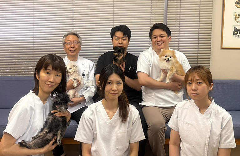 スタッフ紹介・求人募集