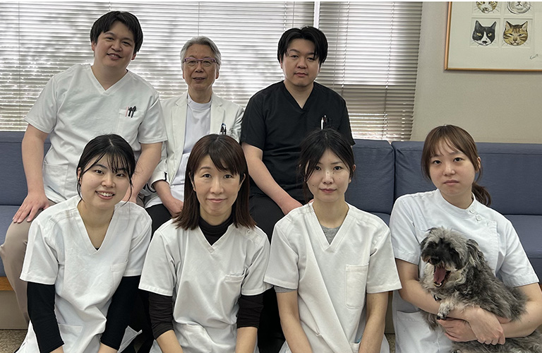 スタッフ紹介・求人募集